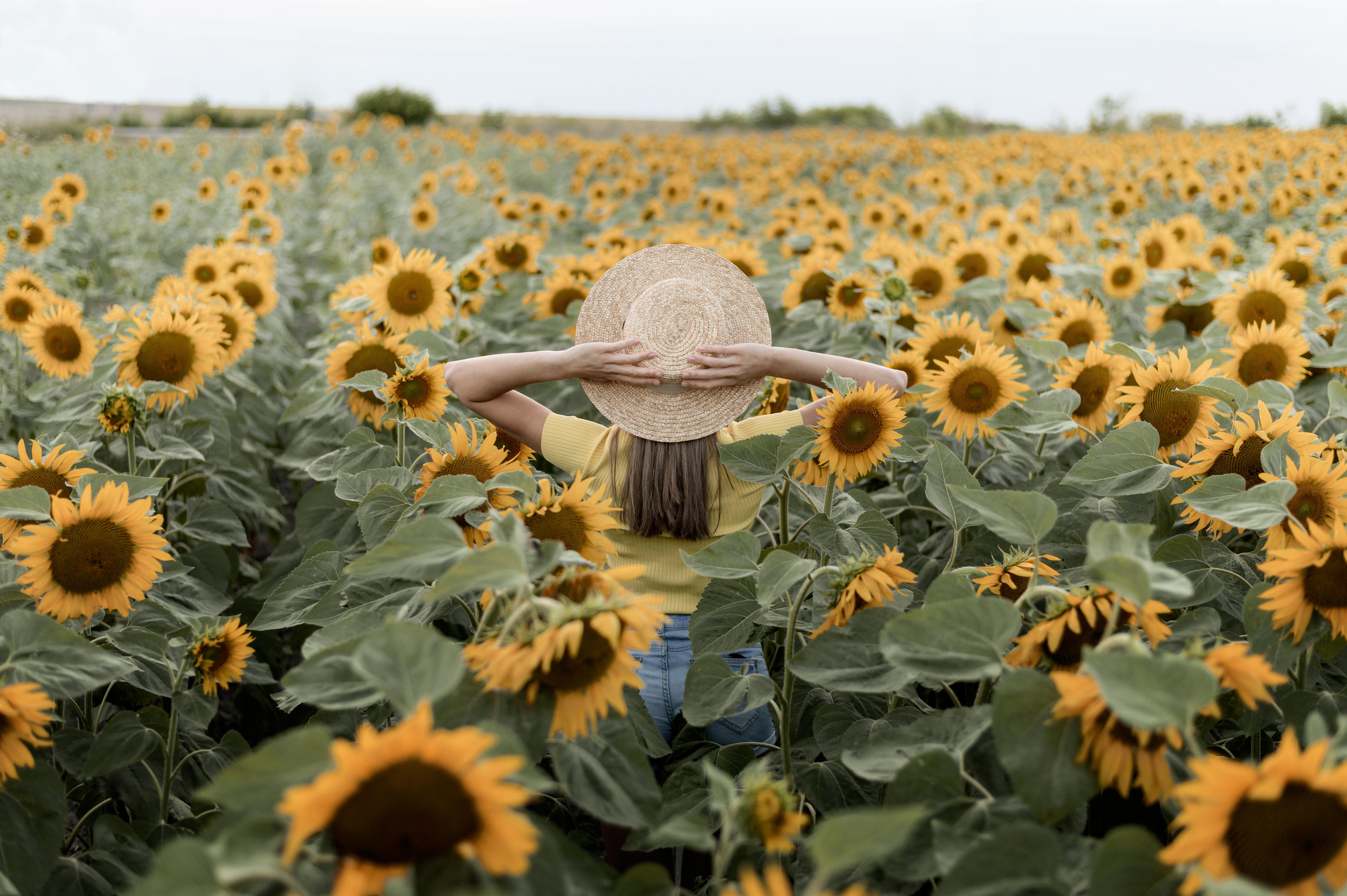 Plantas resistentes al sol